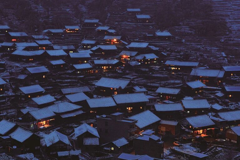 雾凇漫紫鹊：千年梯田的冬日童话